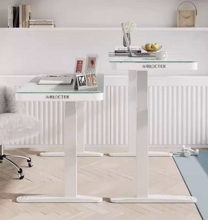 loctek electrical table 3